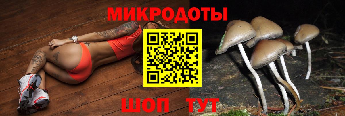 Зерноград  Галлюциногенные грибы Psilocybine cubensis  Вход с VPN 